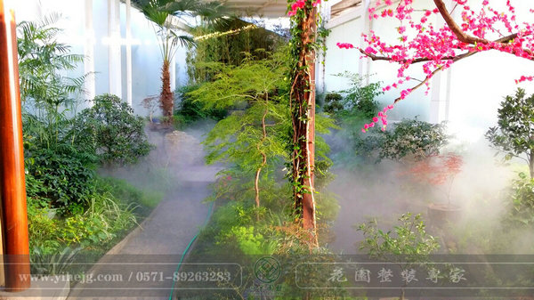 这样的室内庭院，简直让我尖叫！
